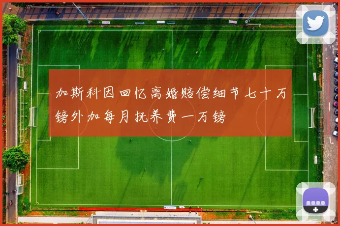 加斯科因回忆离婚赔偿细节七十万镑外加每月抚养费一万镑